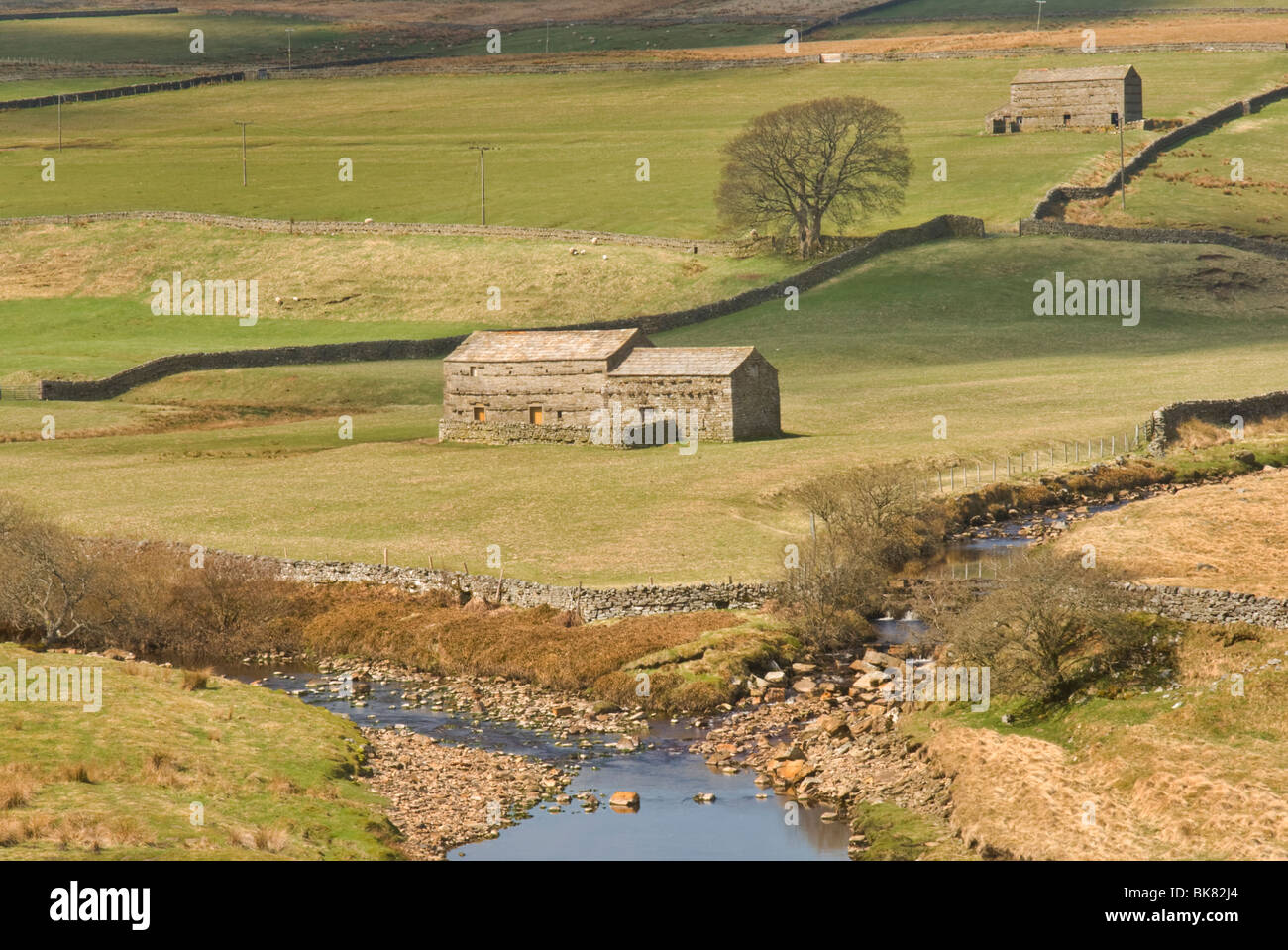 Upper Swaledale at the confluence of the River Swale with Whitsundale Beck. Stock Photo