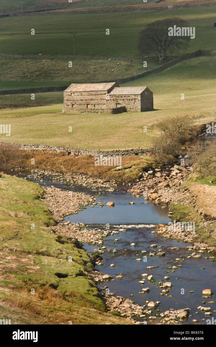 Upper Swaledale at the confluence of the River Swale with Whitsundale Beck. Stock Photo