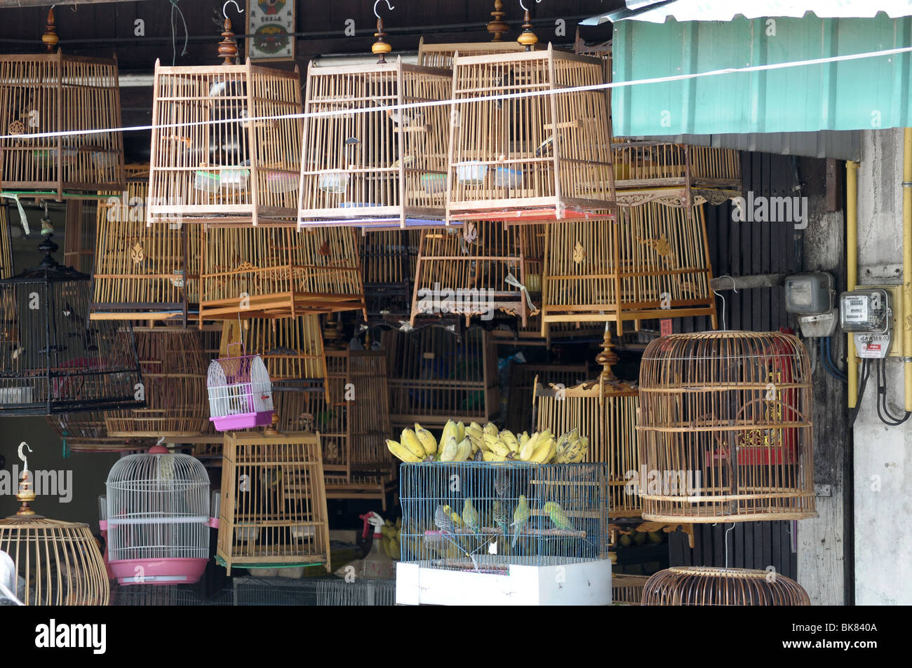 Birds for sale outside Thai shop Stock Photo