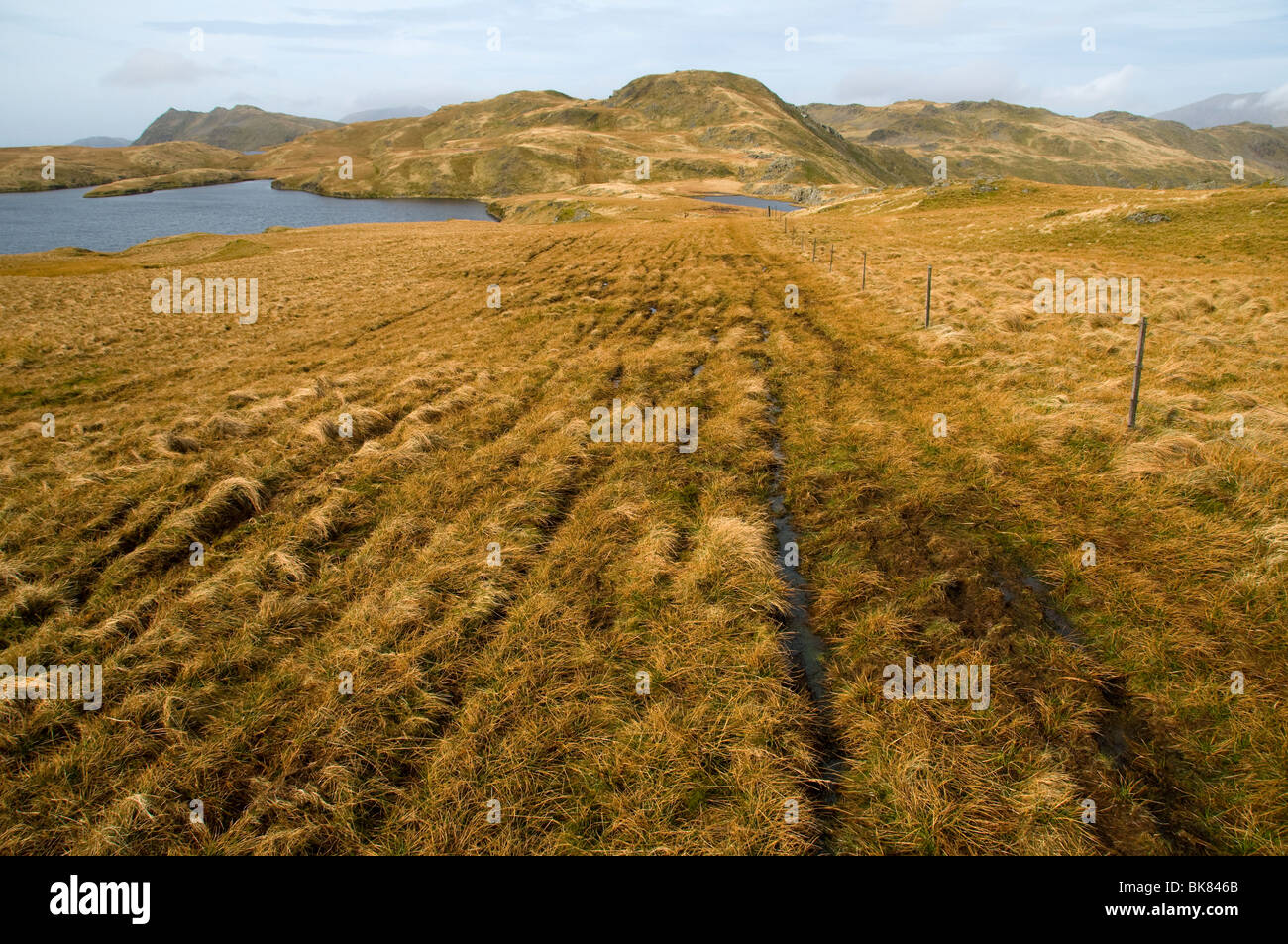 Environmental damage caused by off-road bikers, in the Moelwyn hills, Snowdonia, North Wales, UK Stock Photo