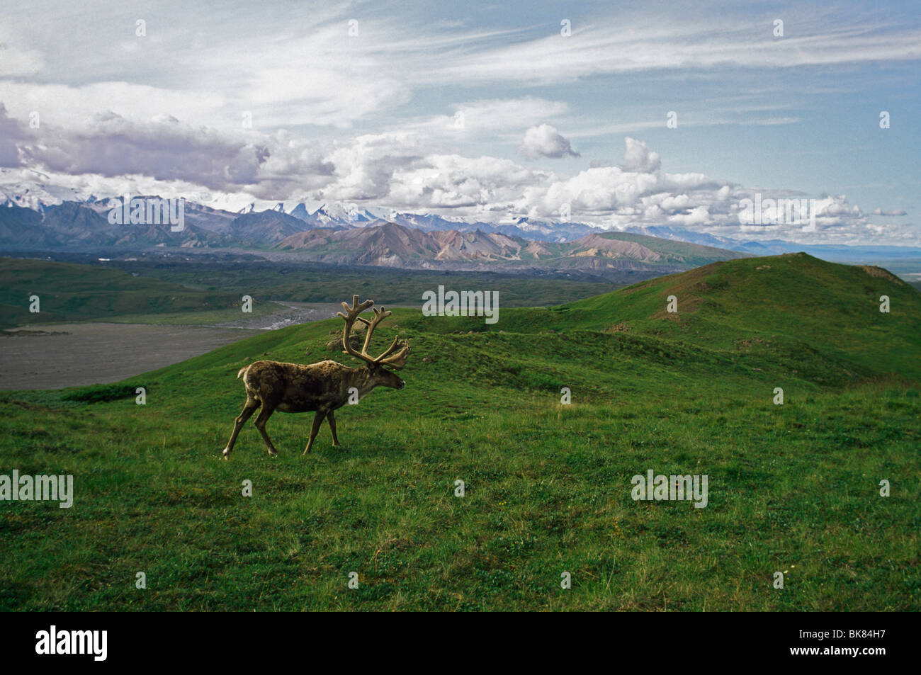 Page 5 - Rural Alaska Countryside High Resolution Stock Photography and  Images - Alamy