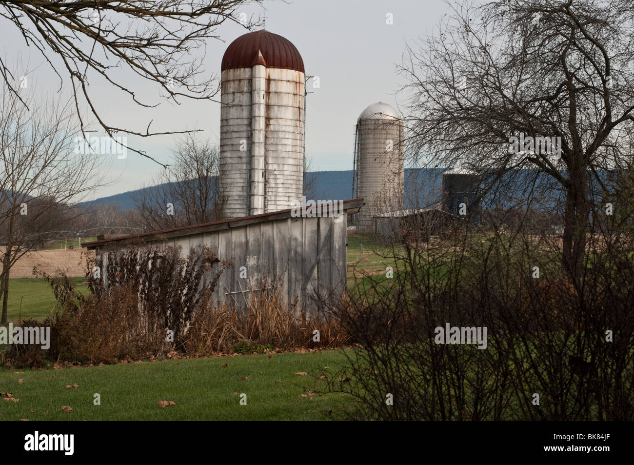 A string of silos on a farm in rural Virginia in autumn. Stock Photo