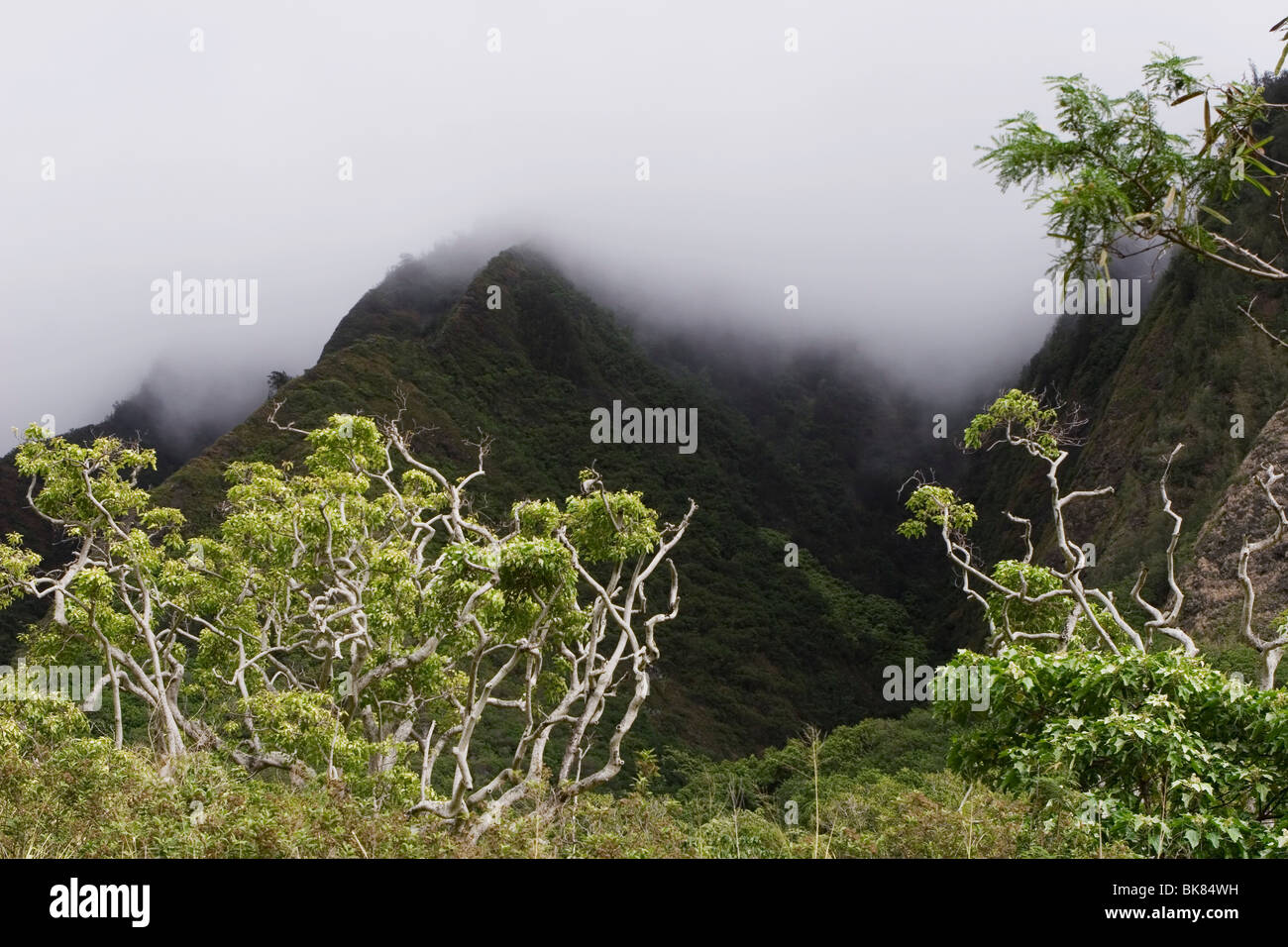 Wilderness hawaii hi-res stock photography and images - Alamy
