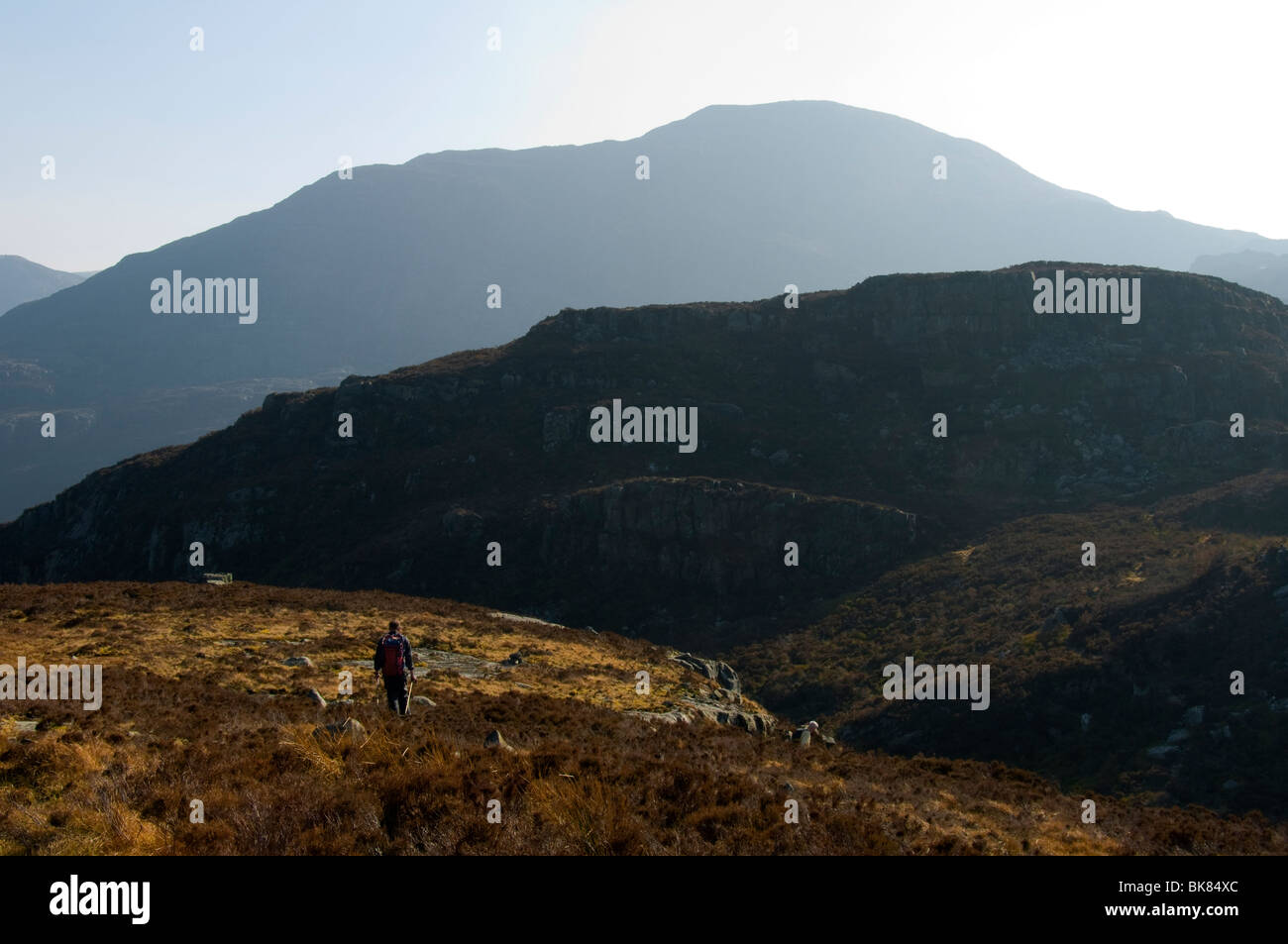 Rhinog Fawr, Rhinog Mountains, Snowdonia, North Wales, UK Stock Photo ...