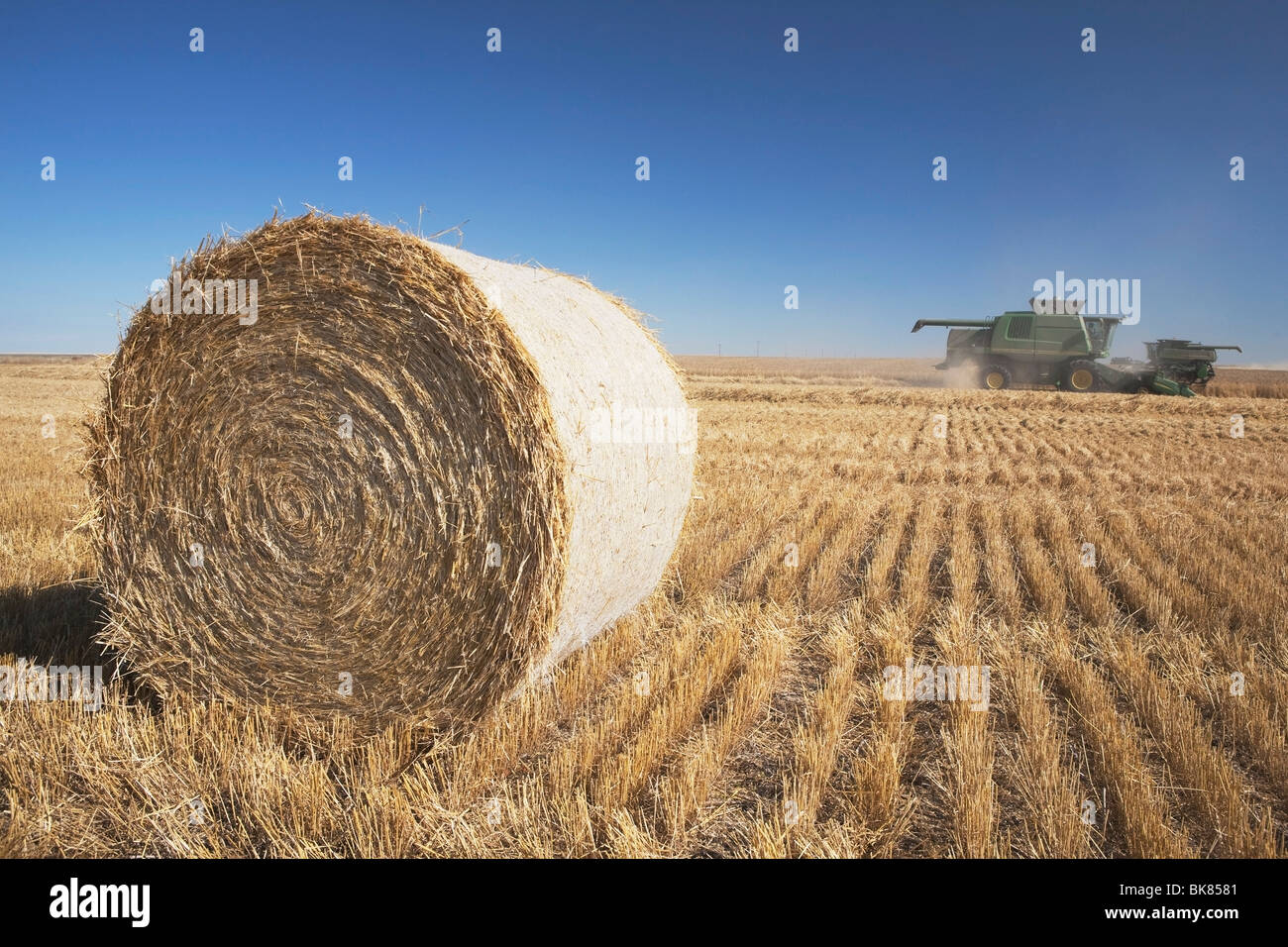 Hay Bale And Combine In Cut Field, Alberta, Canada Stock Photo Alamy