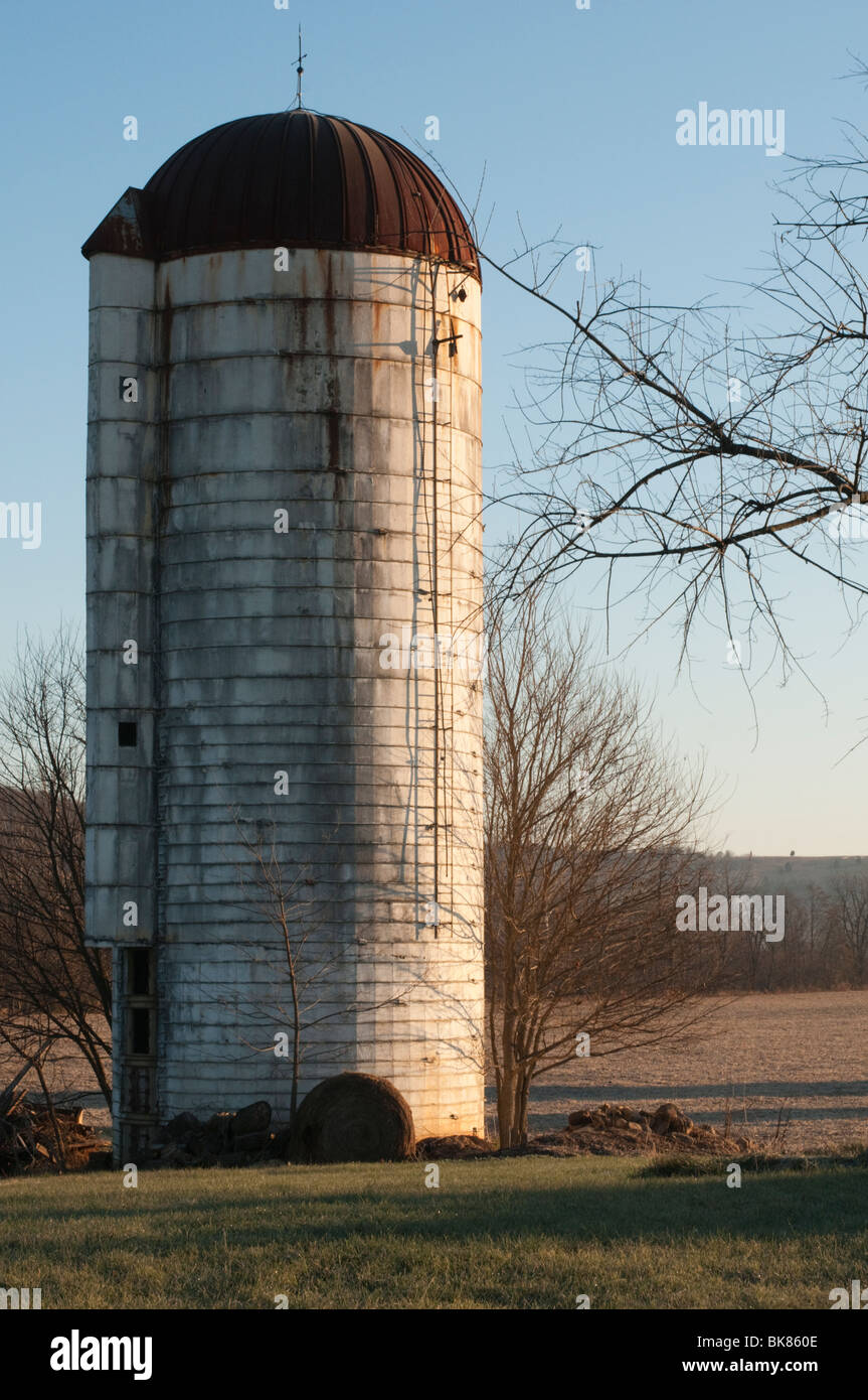 Large silo in the early morning light on a farm in rural Virginia. Stock Photo