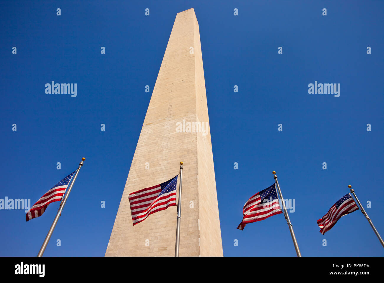 American flags flying below the Washington Monument, Washington DC USA Stock Photo