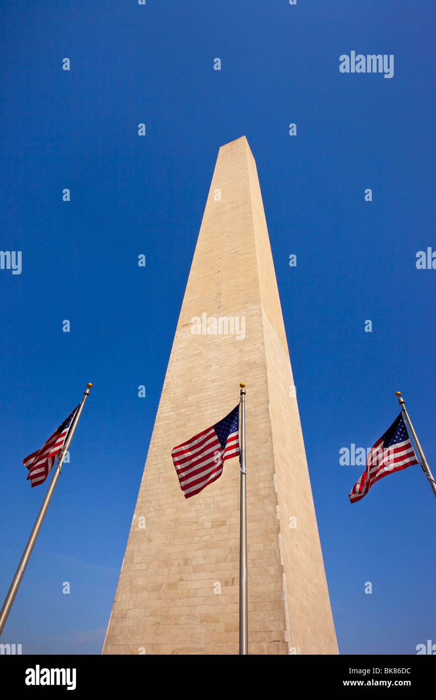 American flags flying below the Washington Monument, Washington DC USA Stock Photo