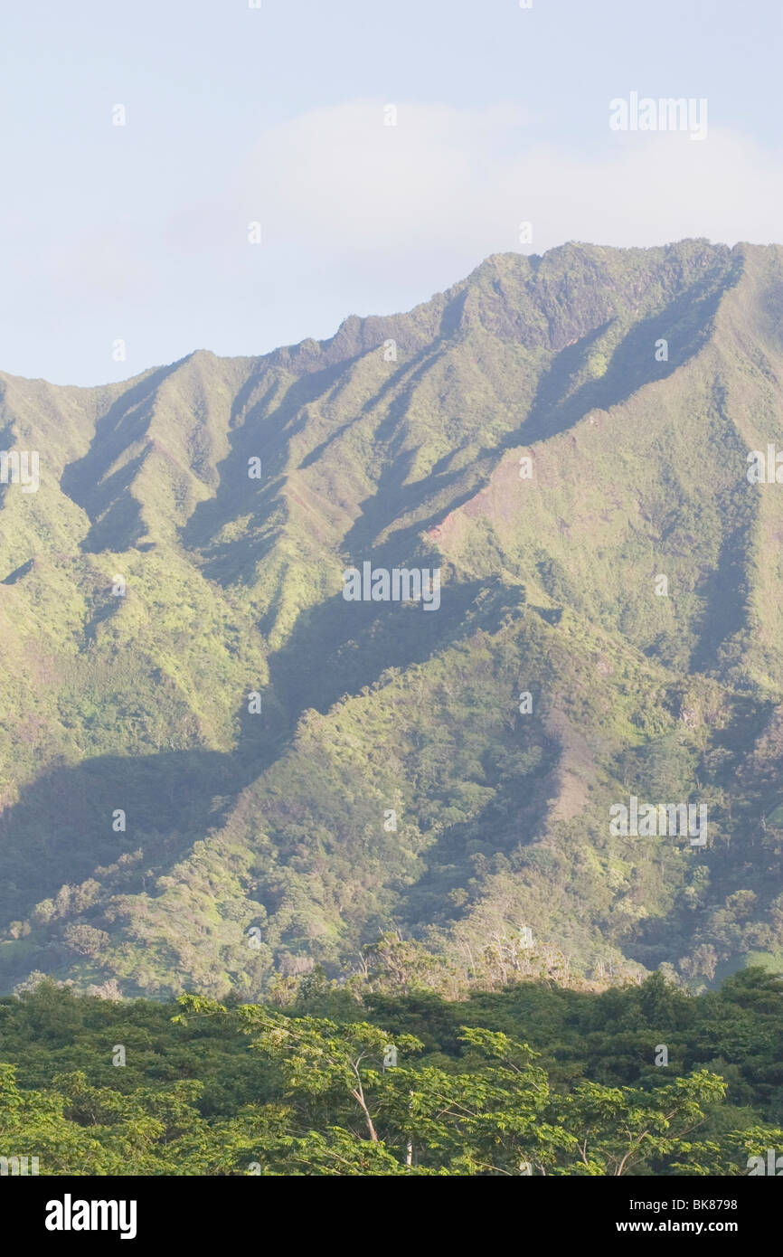 Hawaii backdrop hi-res stock photography and images - Alamy
