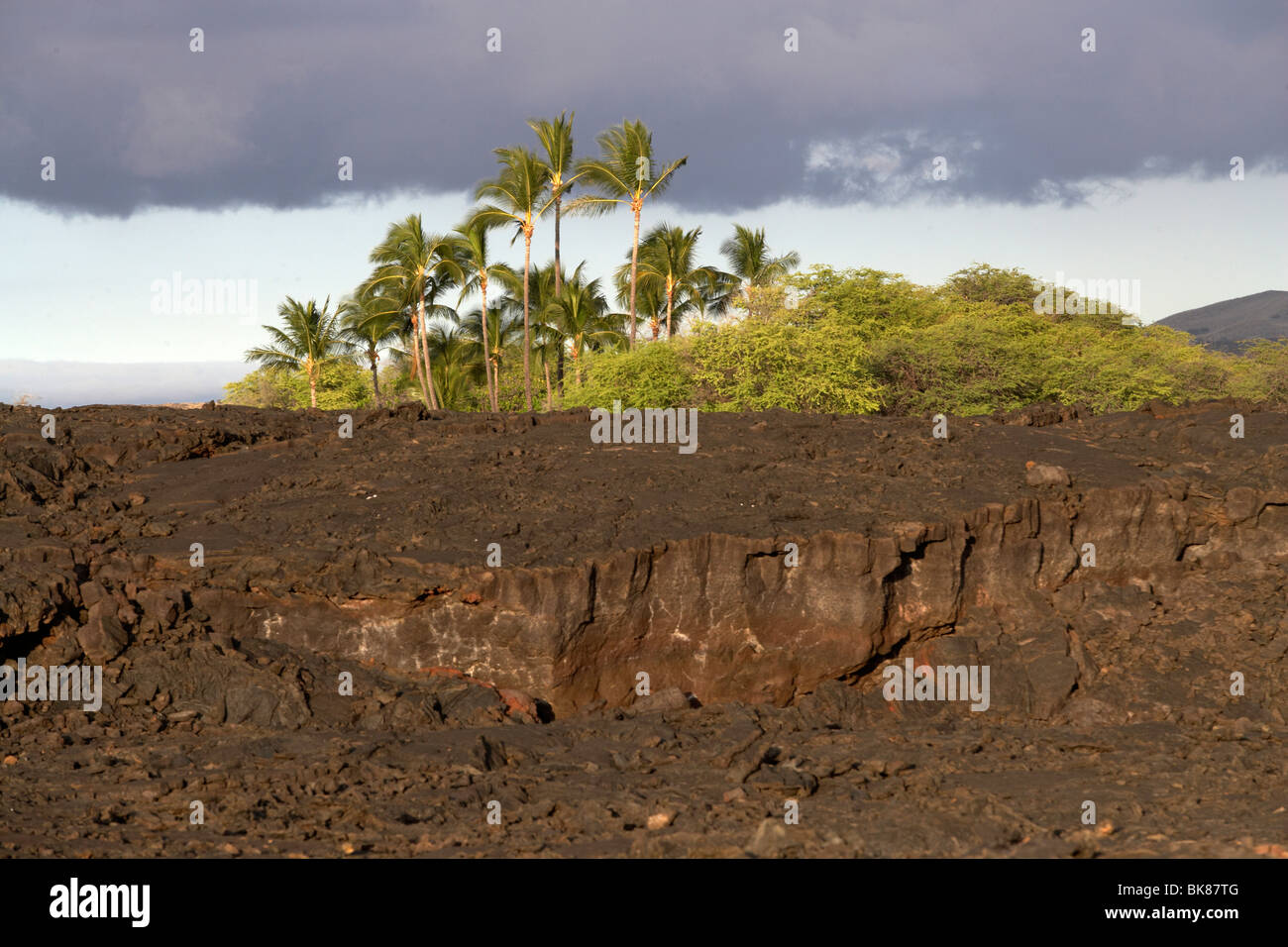Lava desert near Waikoloa on Big Island, Hawaii, USA Stock Photo