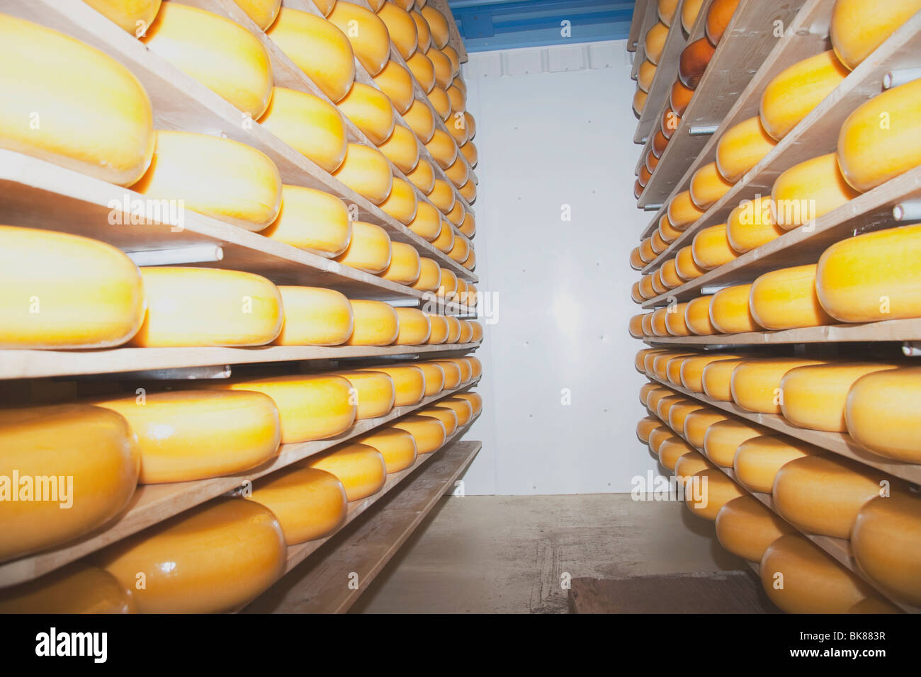 Cheese Factory, Alberta, Canada Stock Photo Alamy