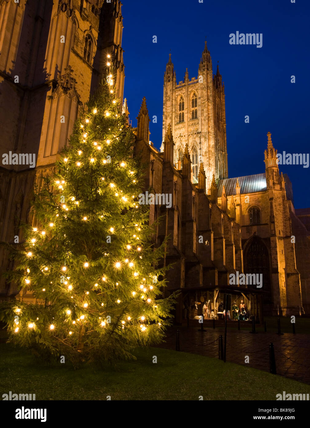 Christmas tree and stall with nativity scene at Canterbury Cathedral in