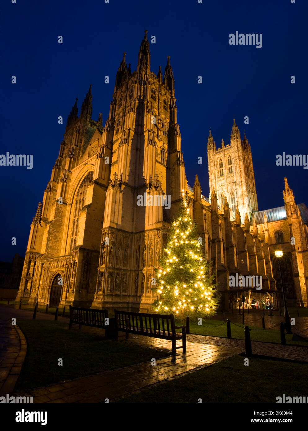 Christmas Tree and stall with nativity scene at Canterbury Cathedral in