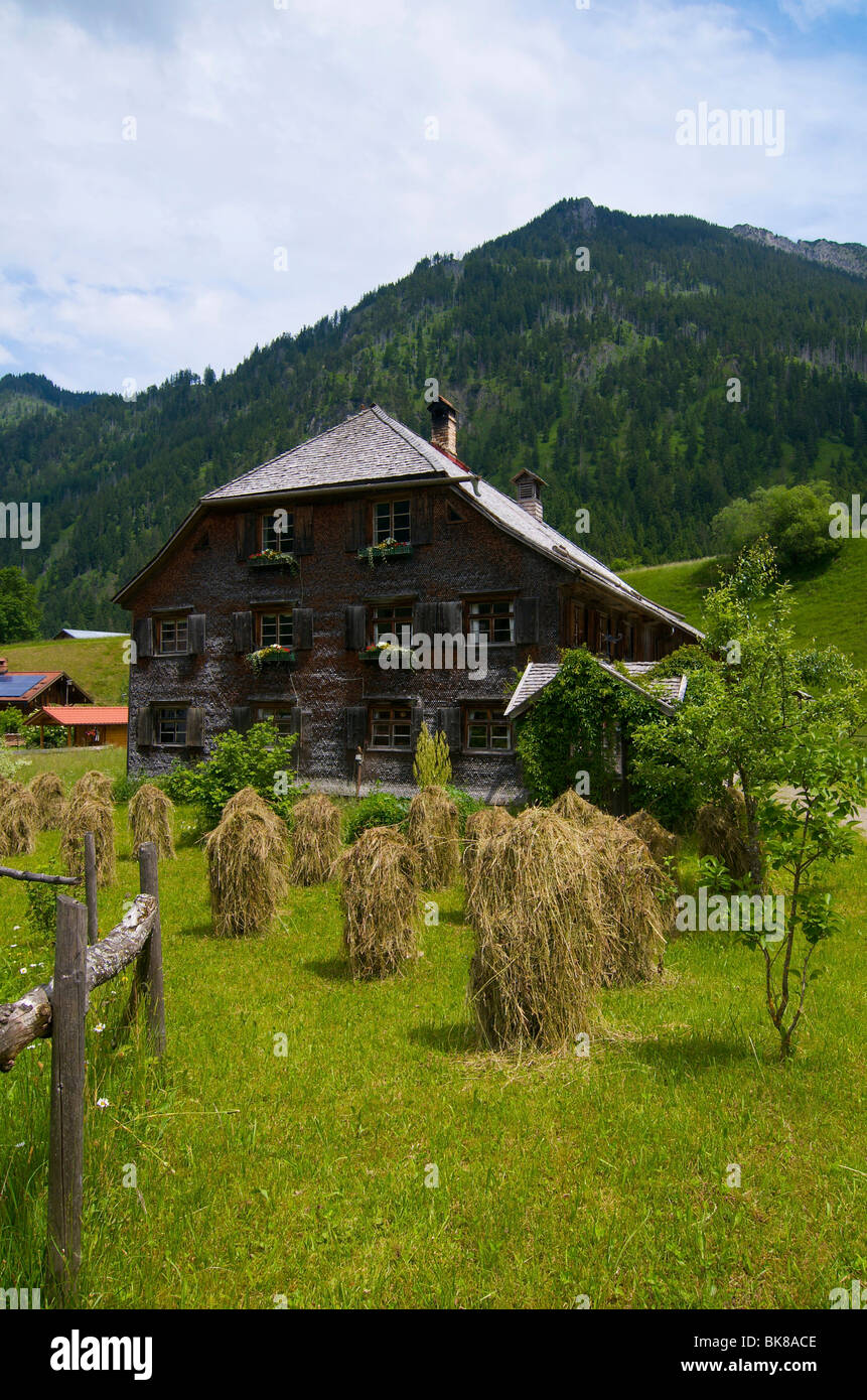 Haystacks in Hinterstein, Bad Hindelang, Allgaeu, Bavaria, Germany, Europe Stock Photo
