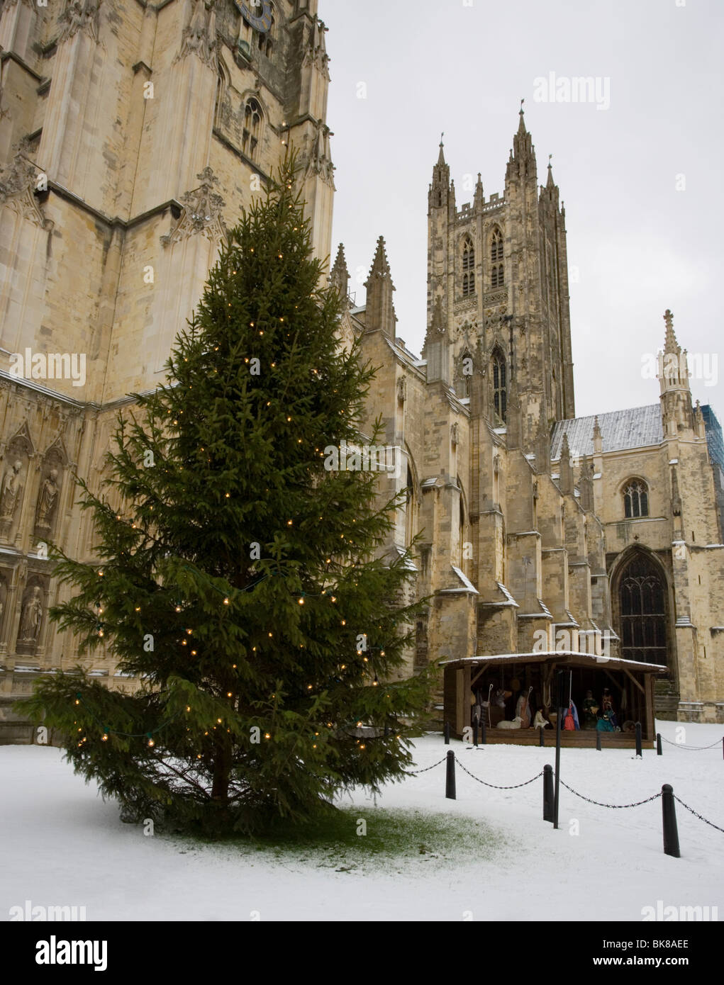 Christmas Tree and stall with nativity scene at Canterbury Cathedral in