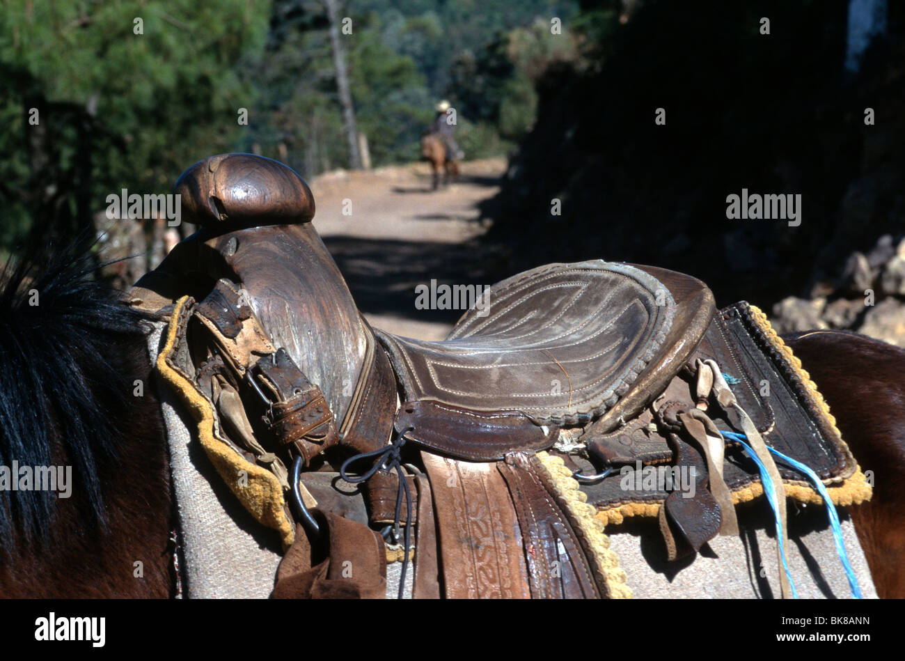 Close up of a Mexican saddle with a wooden pommel, with a horse rider