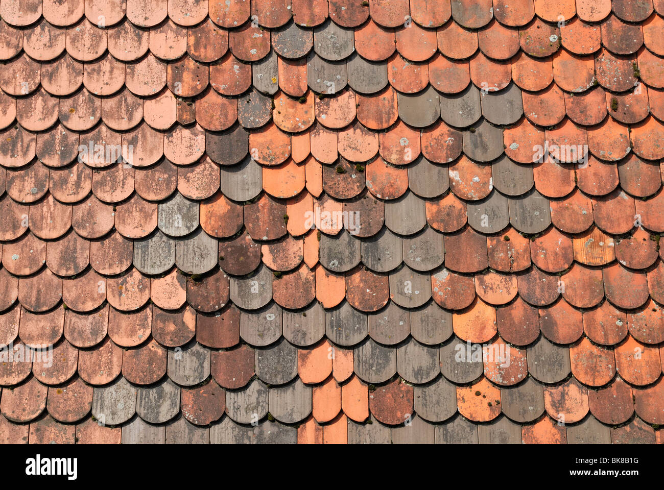 Beaver tail-roofing, detail with new tiles, Rothenburg ob der Tauber, Bavaria, Germany, Europe Stock Photo