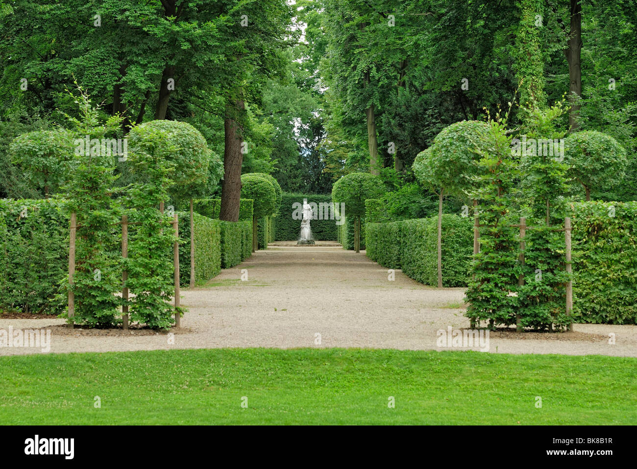 Hedges and trees clipped in form, baroque garden, Schloss Schwetzingen Castle, Baden-Wuerttemberg, Germany, Europe Stock Photo