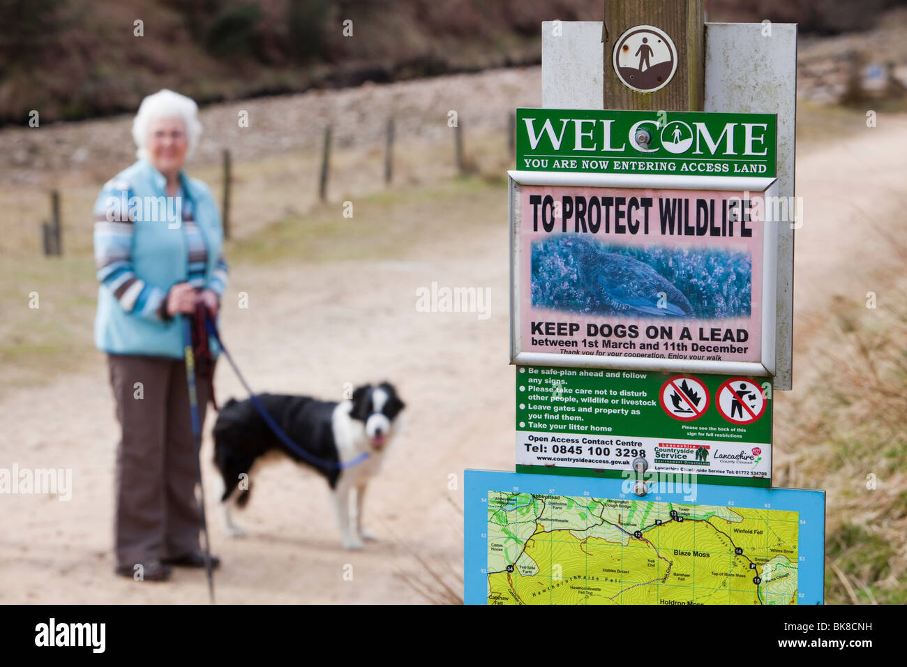 Can You Keep A Dog In A Flat Uk
