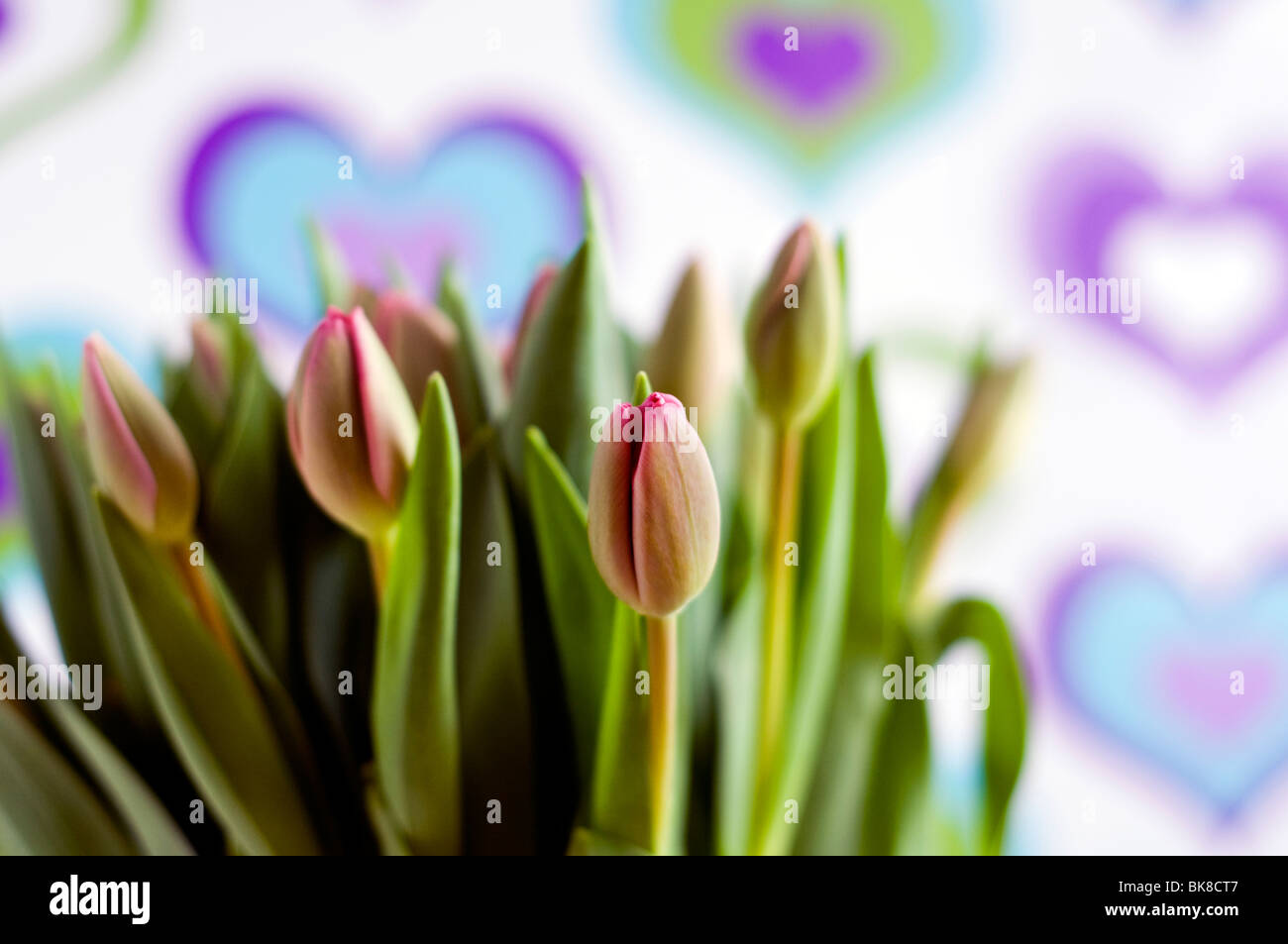 A vase of purple tulips in front of colorful wallpaper decorated with a