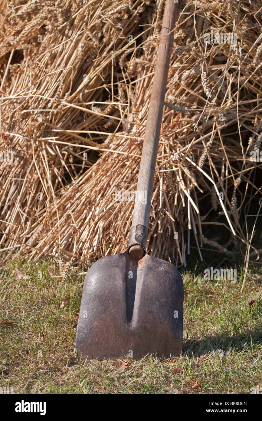 Old shovel leaning against stacked up corn Stock Photo Alamy