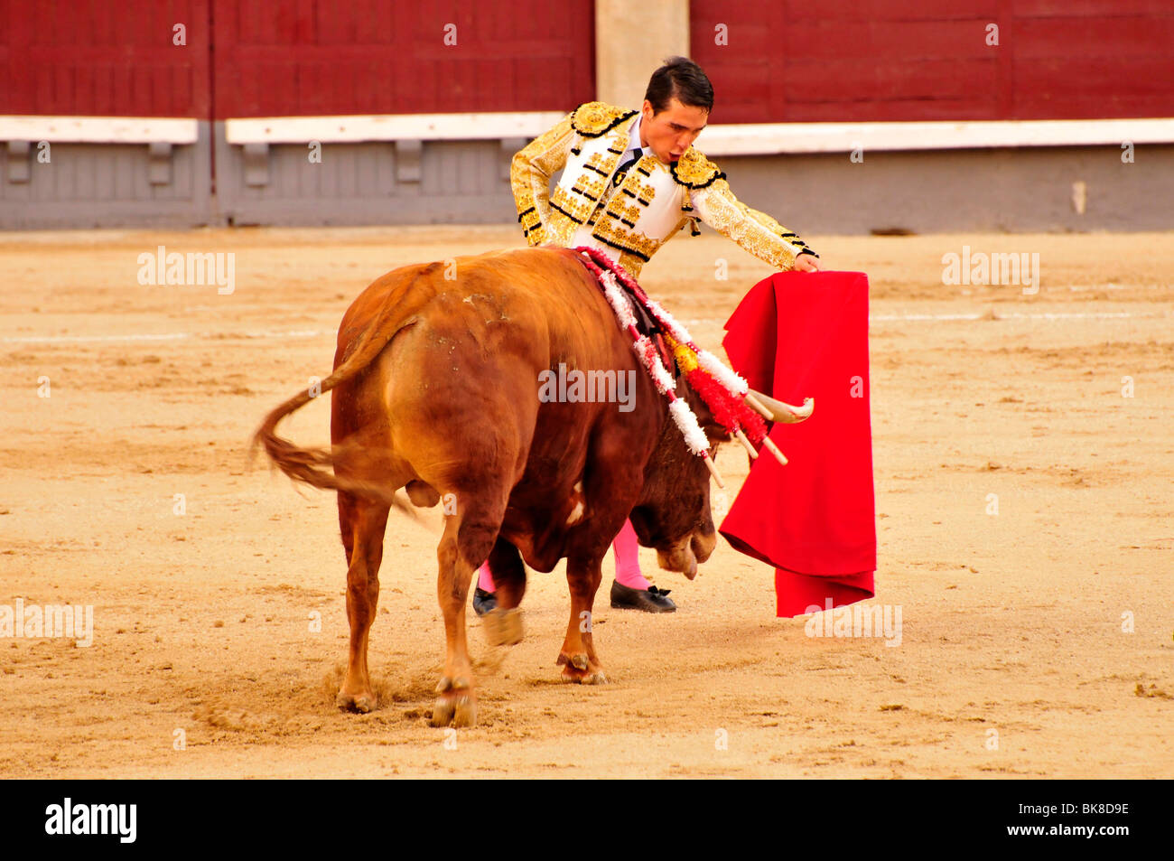 Bullfighter, matador, with a scarlet cape, muleta, and sword, estoque, in Las Ventas Bullring, Madrid, Spain, Iberian Peninsula Stock Photo