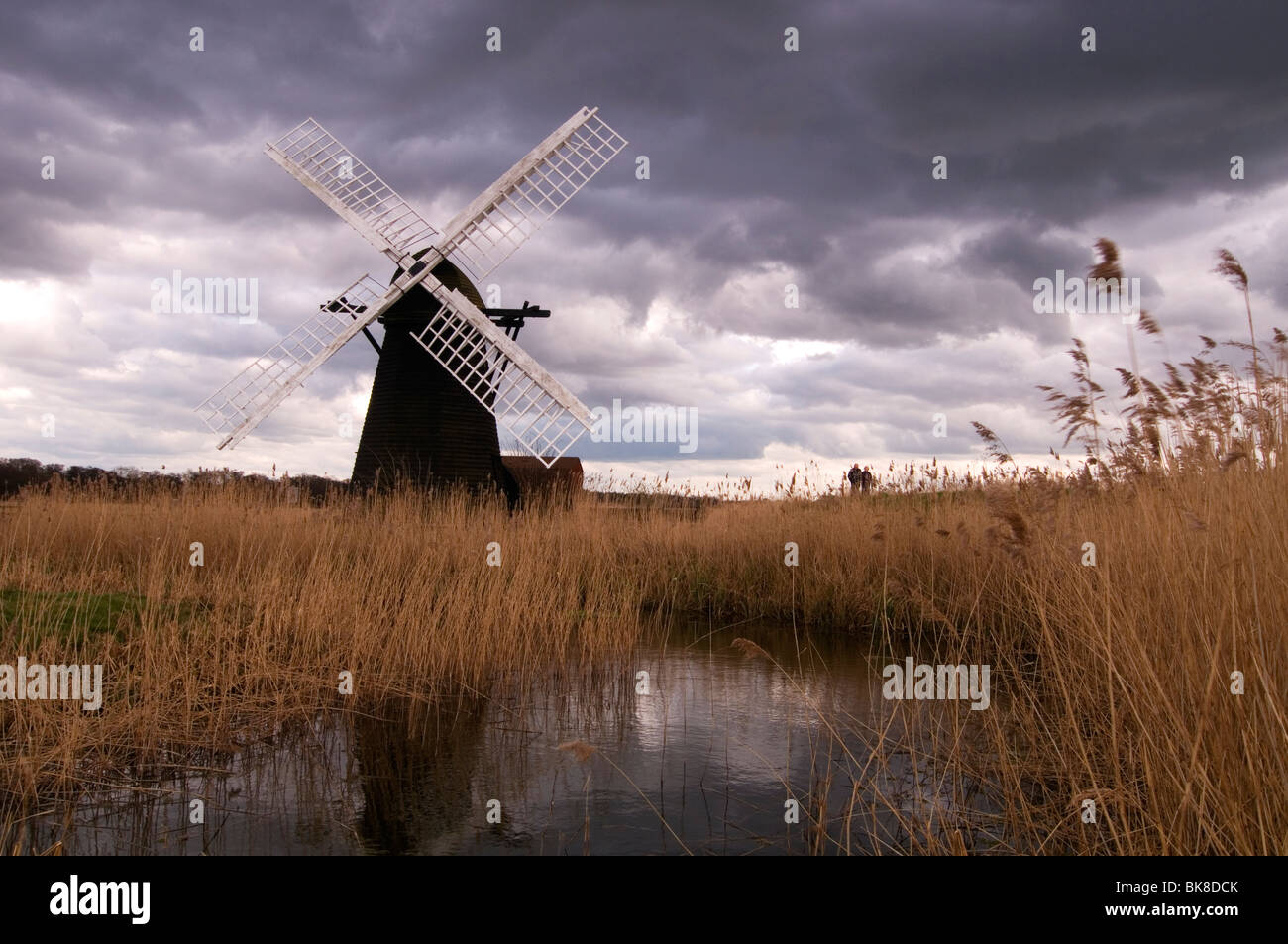 Herringfleet Mill Herringfleet Suffolk England UK Stock Photo - Alamy