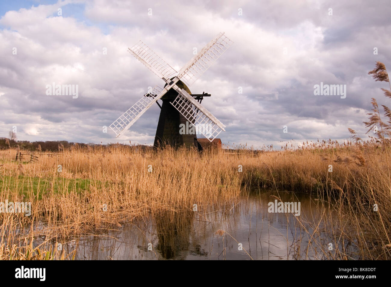 Herringfleet Mill Herringfleet Suffolk England UK Stock Photo - Alamy