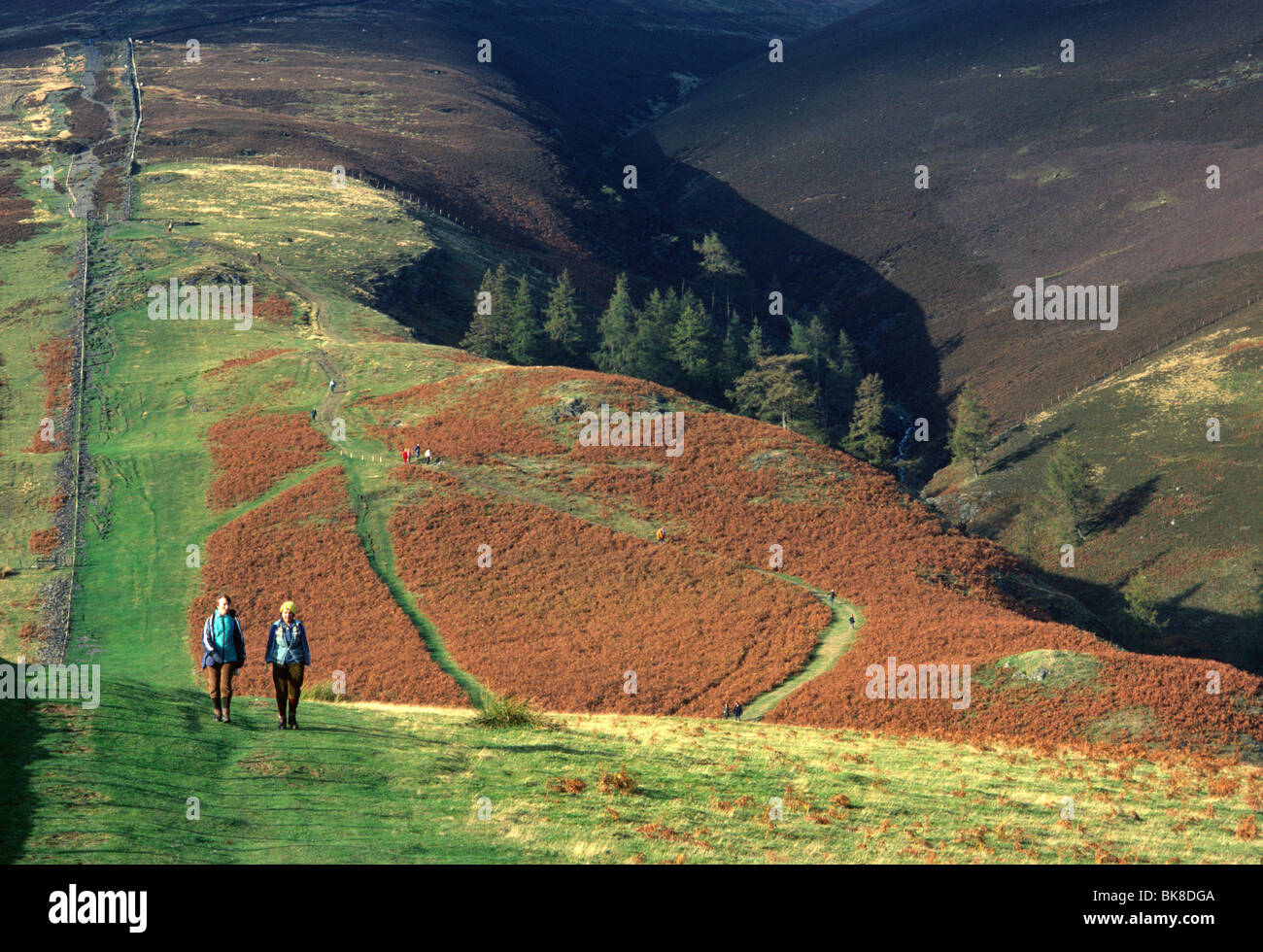 Lake District, Walkers, Day Stock Photo Alamy