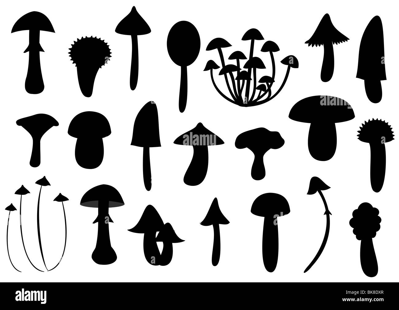 Mushroom silhouettes Stock Photo