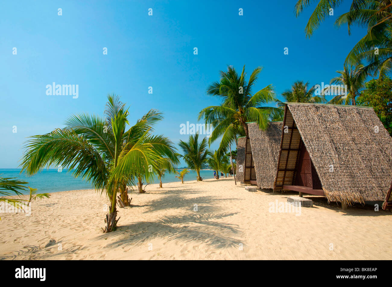Beach huts on Lamai Beach, Ko Samui island, Thailand, Asia Stock Photo Alamy