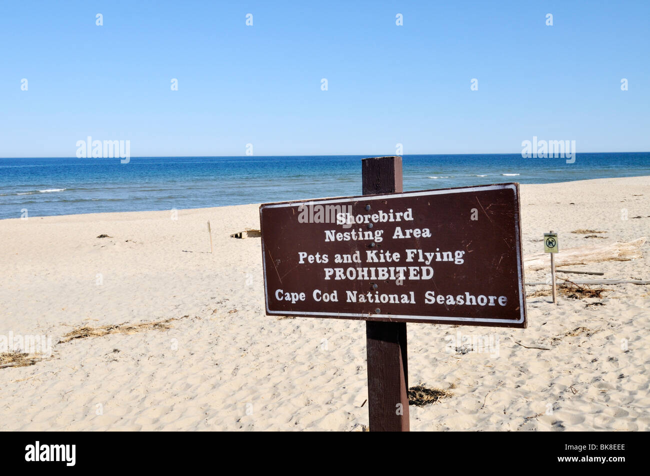 Shorebird Nesting Area sign on Coast Guard Beach, Cape Cod National Seashore Eastham Massachusetts USA Stock Photo