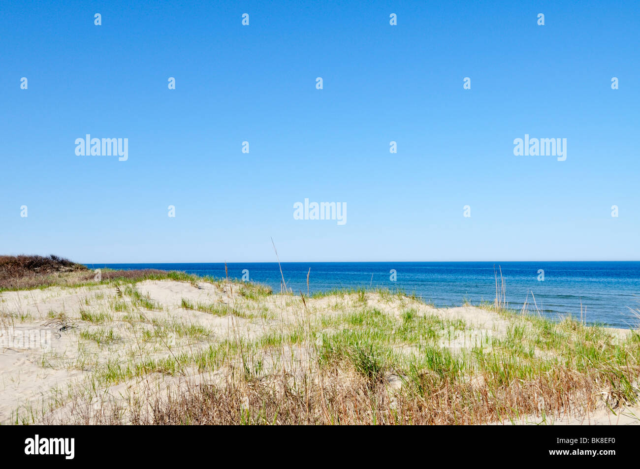 Coast Guard Beach in Eastham, Cape Cod National Seashore USA on a clear blue sky sunny day. Stock Photo