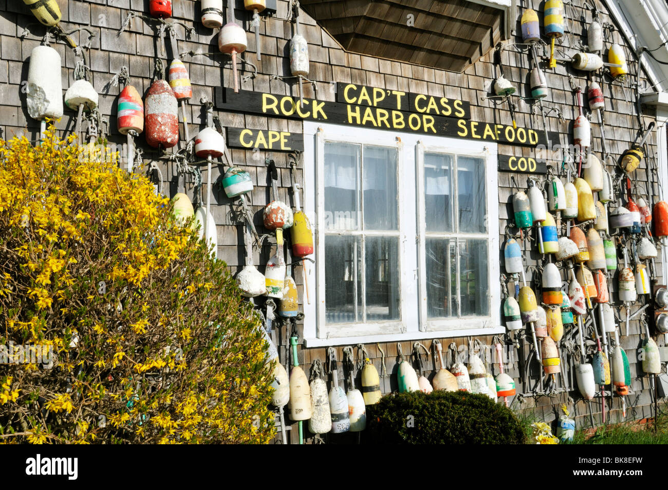 Lobster buoys hanging on the side of a Cape Cod shingled building
