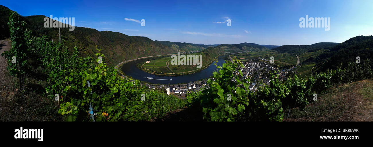 Sinuosity of the Moselle River at the Calmont vineyard near Bremm, Rhineland-Palatinate, Germany, Europe Stock Photo