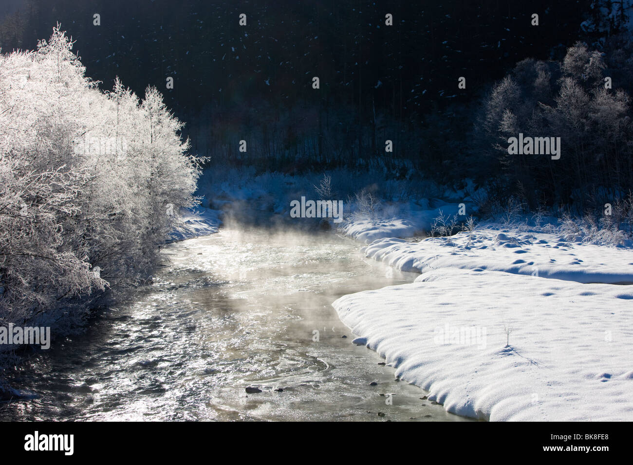 Hoarfrost at a creek, South Tyrol, Italy, Europe Stock Photo