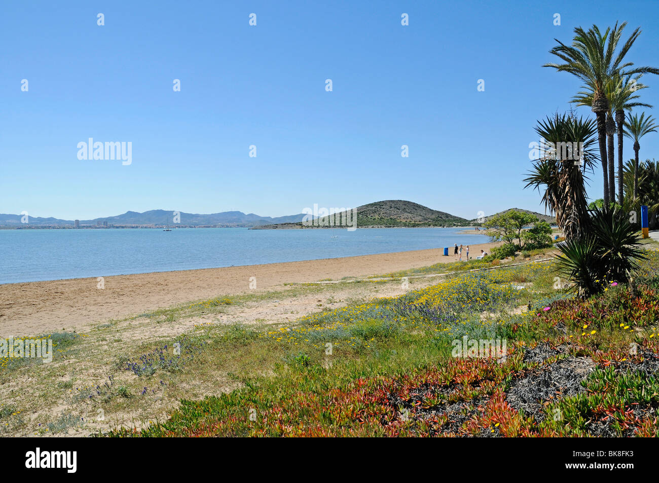 Beach, shore, lagoon, inland sea, La Manga, Mar Menor, Murcia, Spain, Europe Stock Photo