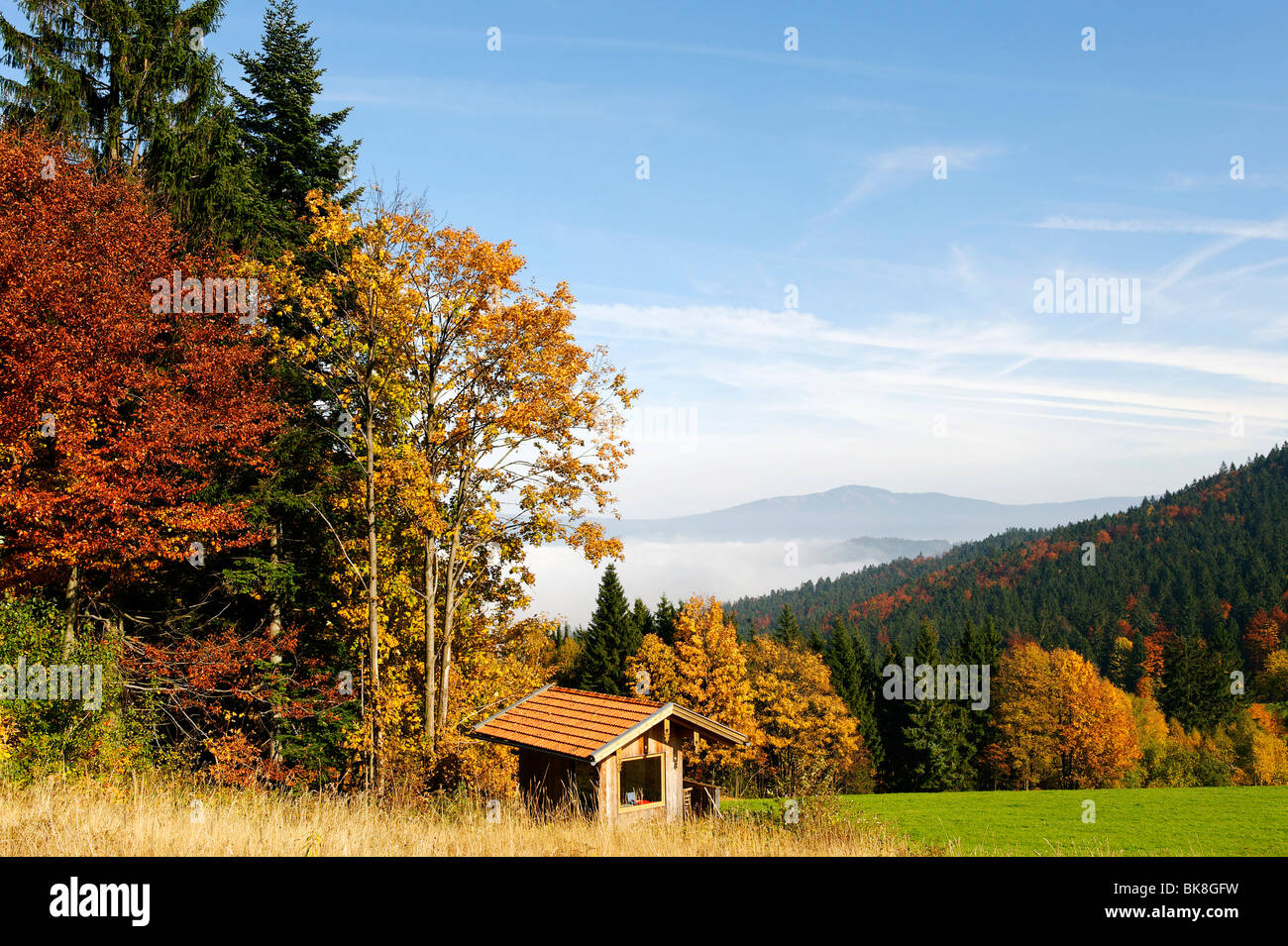 Ecksattel near Arrach in front of the Osser mountain, Bavarian Forest, border between Lower Bavaria and Upper Palatinate Stock Photo