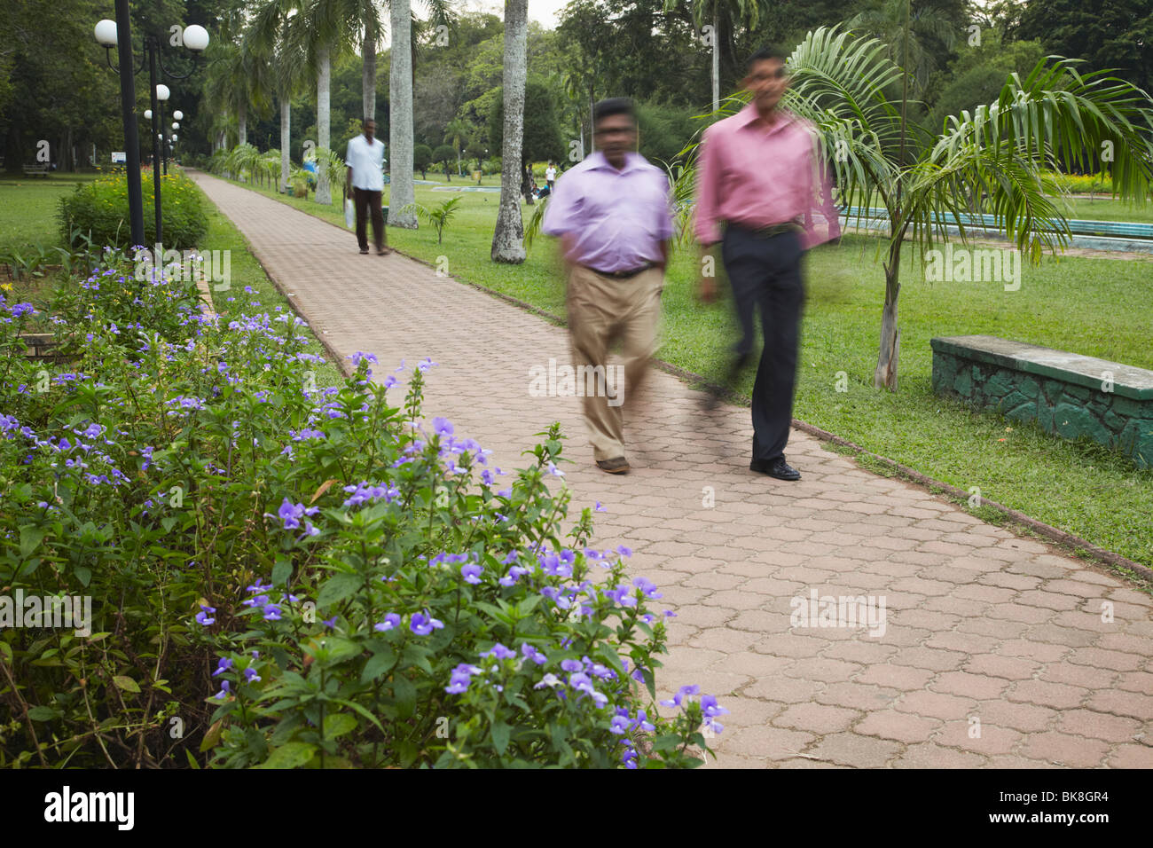 Asia, South Asia, Sri Lanka, Colombo, Cinnamon Gardens, People Walking Through Viharamahadevi Park Stock Photo