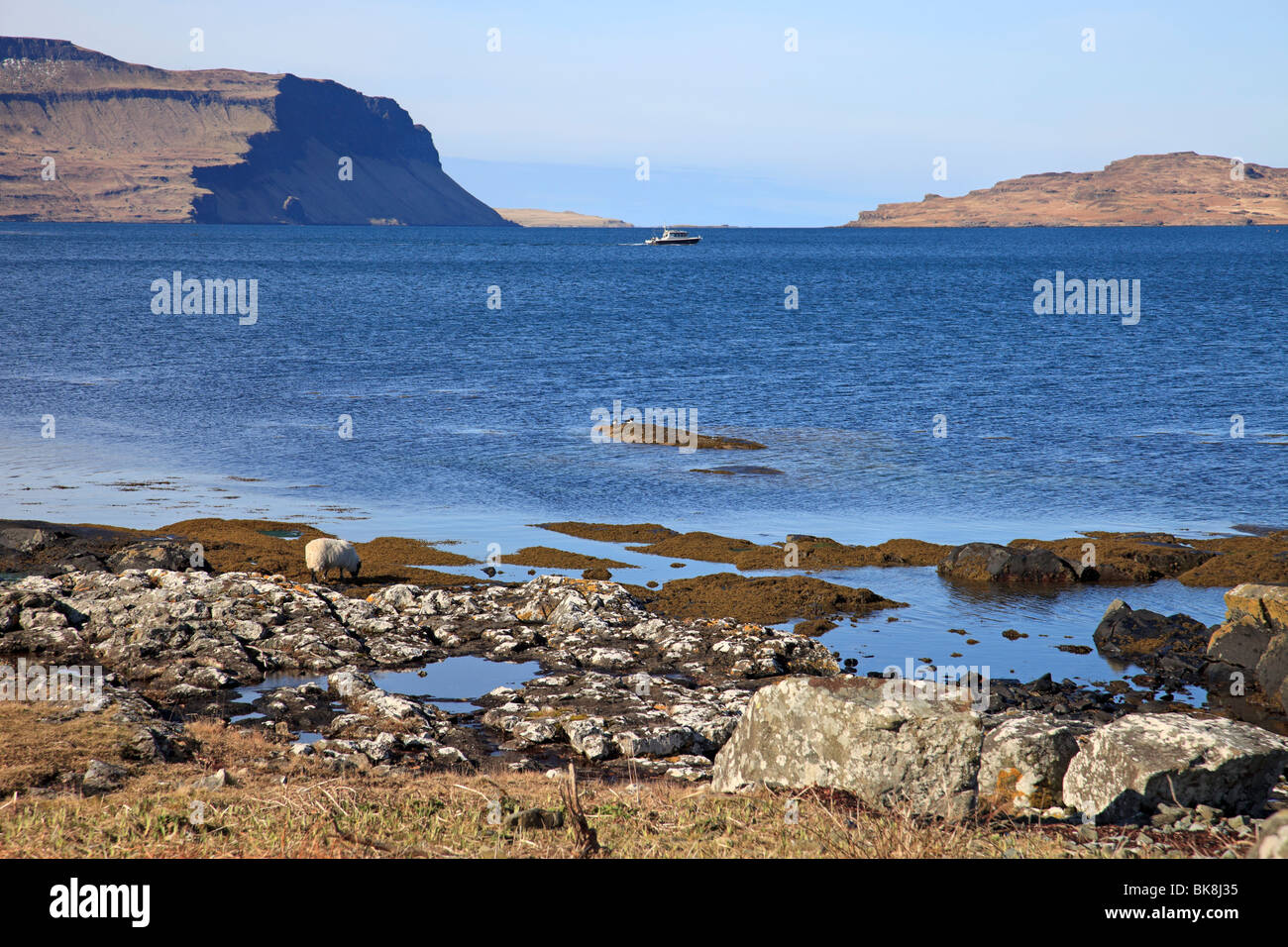 Sunny Spring day by Loch na Keal, near Gribun, Isle of Mull, Scotland Stock Photo