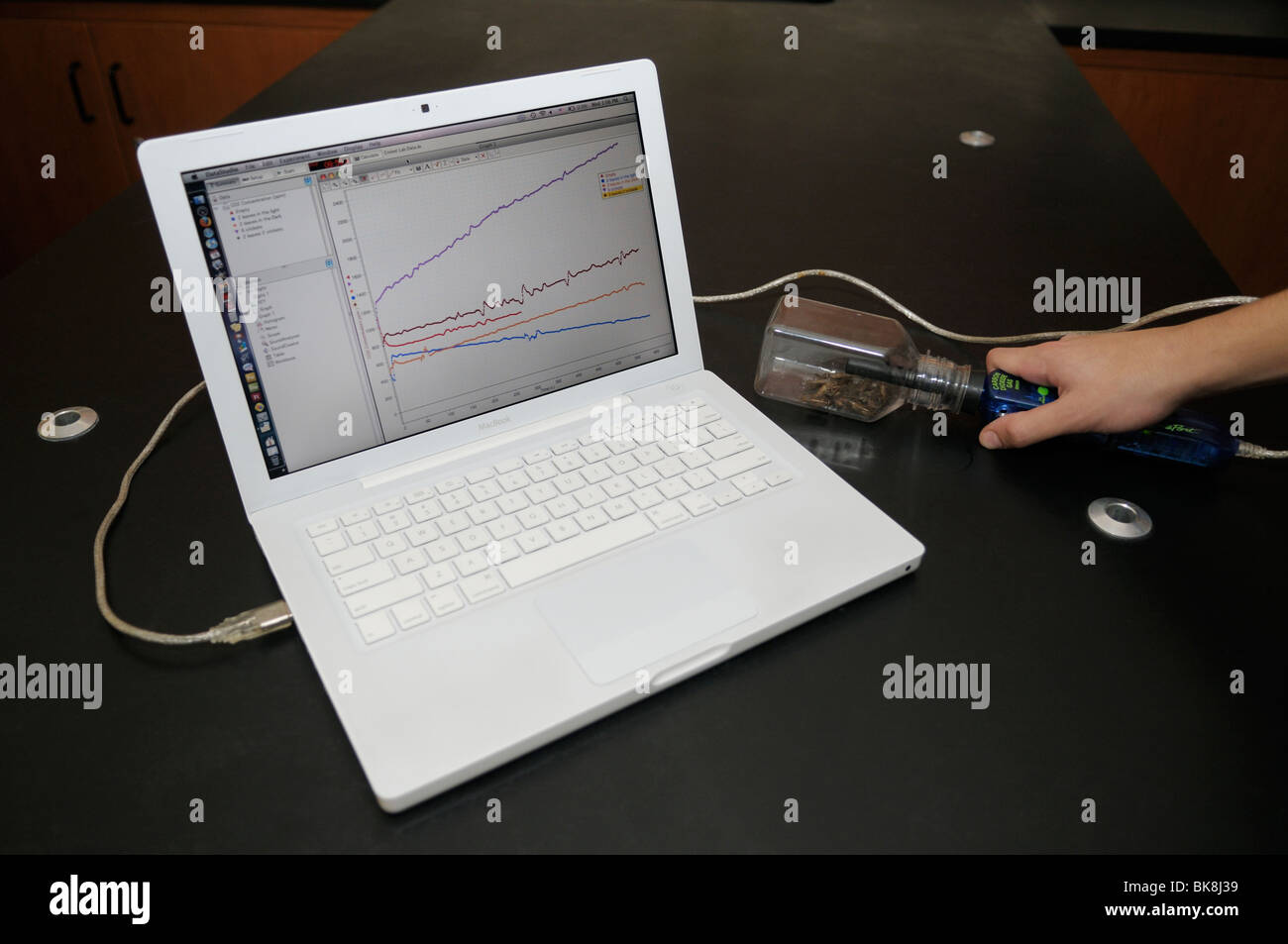 Computer interfaced carbon dioxide sensor measuring changes in CO2 over time resulting from aerobic respiration by crickets. Stock Photo