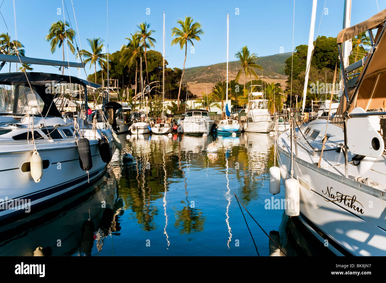 Lahaina Harbor, West Maui Hawaii showing big game fishing boats and