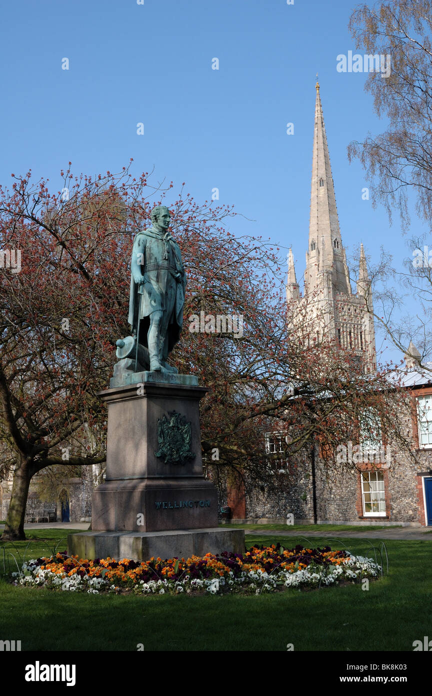 Statue of the Duke of Wellington in Norwich Cathedral Upper Close Stock Photo