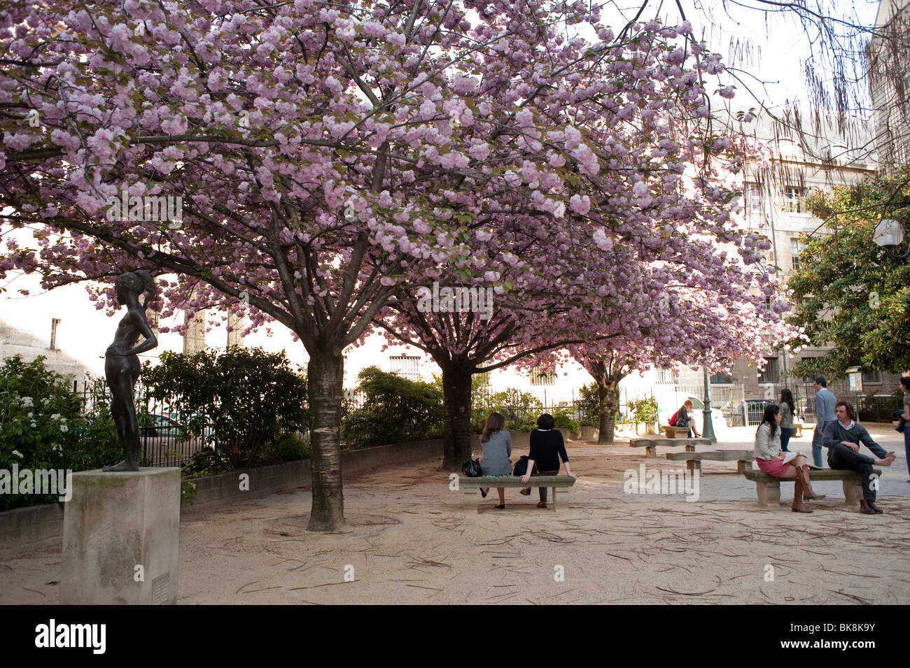 Couples Sitting in City Square, park, in Spring with Flowers Tree ...