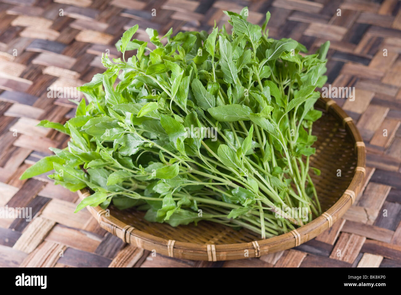 Ghapoo Gapao hi-res stock photography and images - Alamy