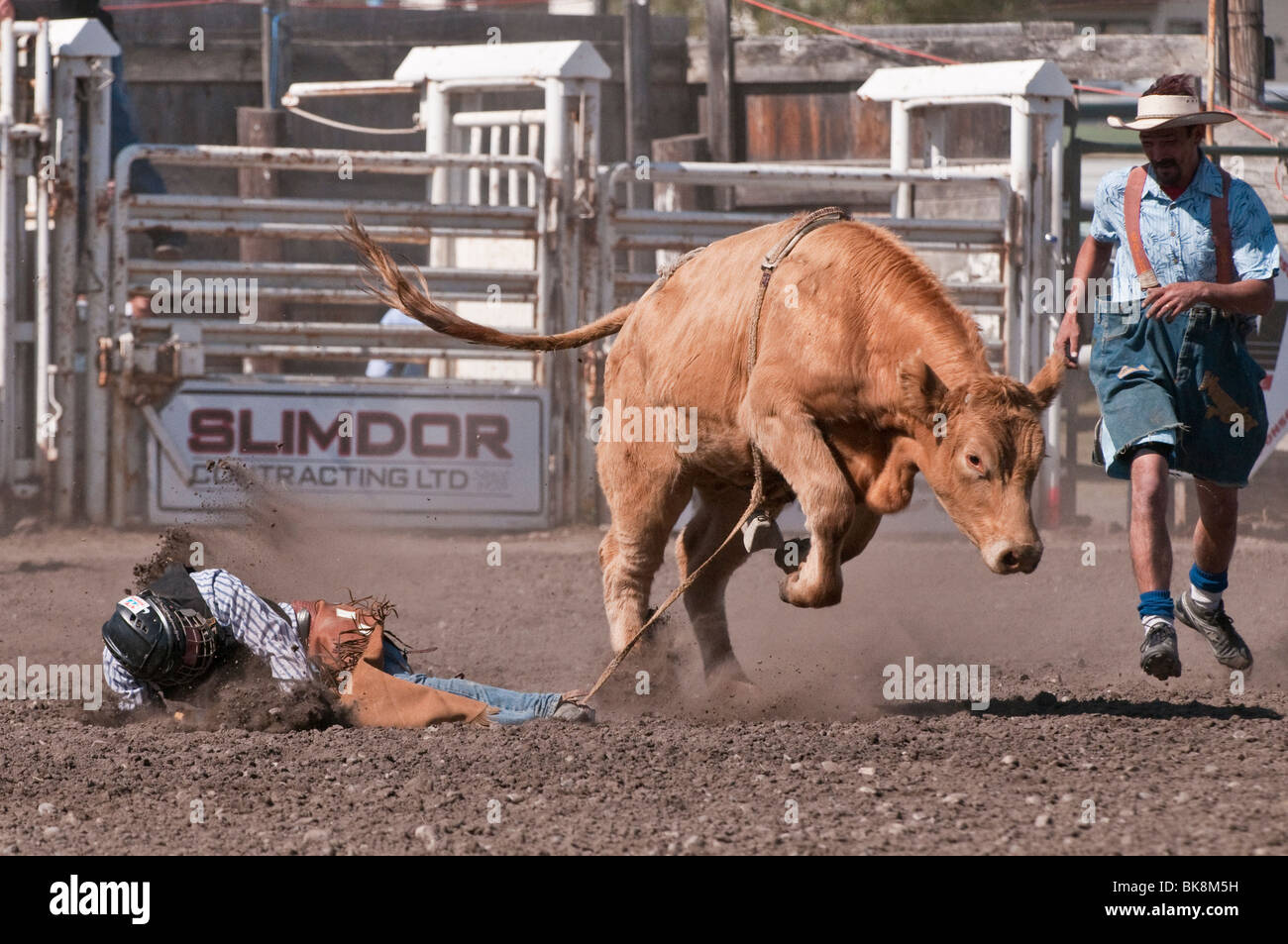 Junior bull riding, Cochrane Rodeo, Cochrane, Alberta, Canada Stock ...
