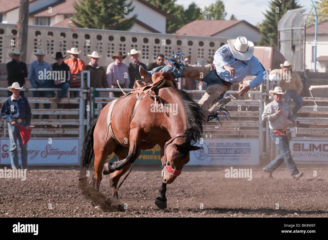 Cowboy being thrown from his horse, bareback bronc riding, Cochrane