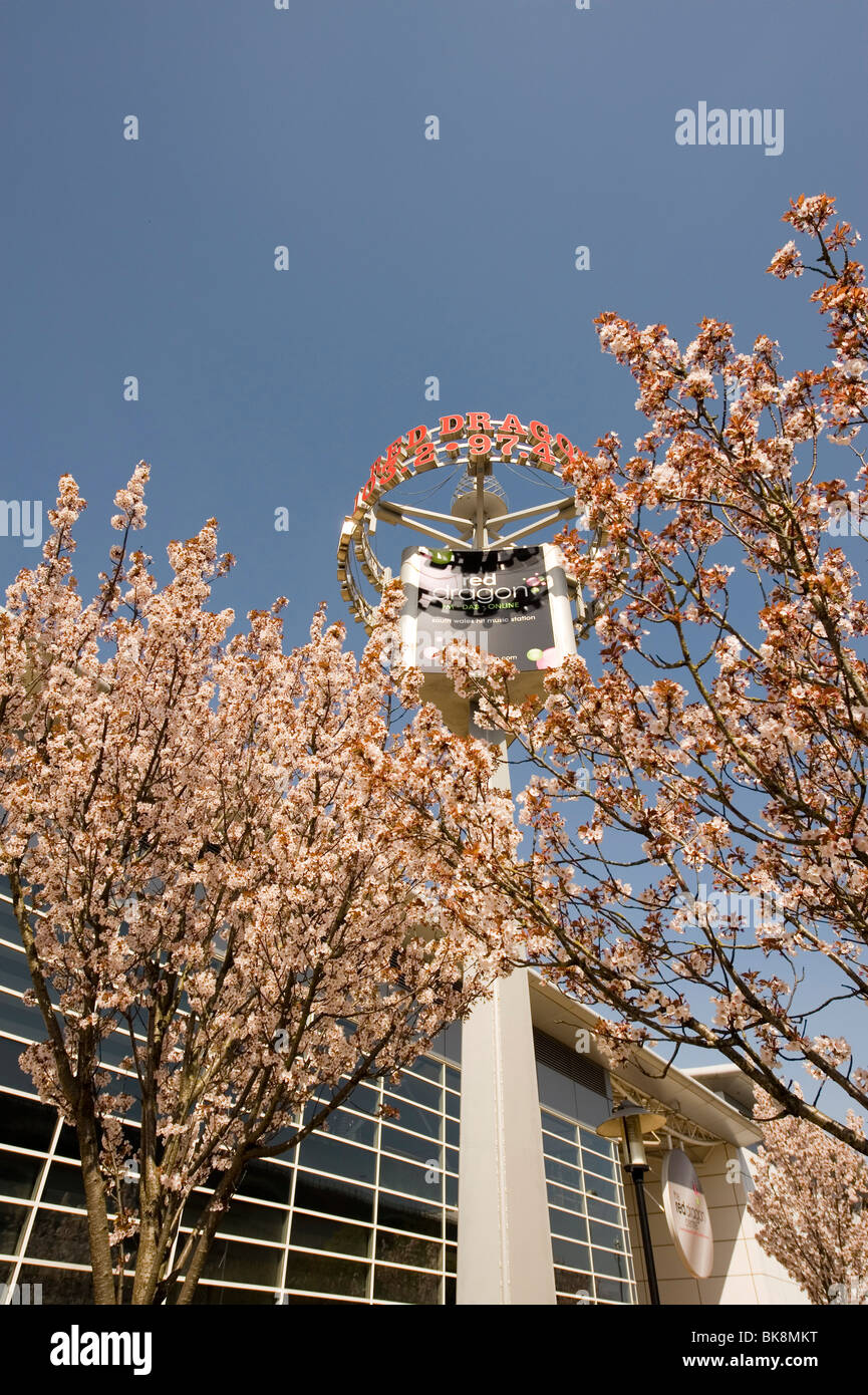 sign outside red dragon centre Cardiff Bay Wales Stock Photo Alamy