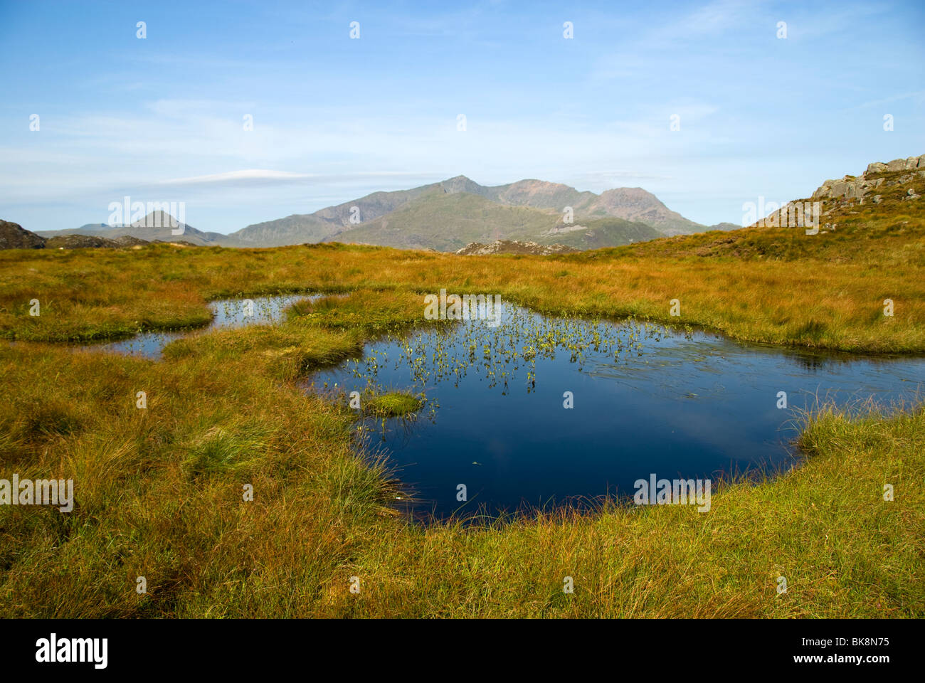 The Snowdon (Yr Wyddfa) range, from Yr Arddu in the Moelwyn hills, Snowdonia, North Wales, UK Stock Photo