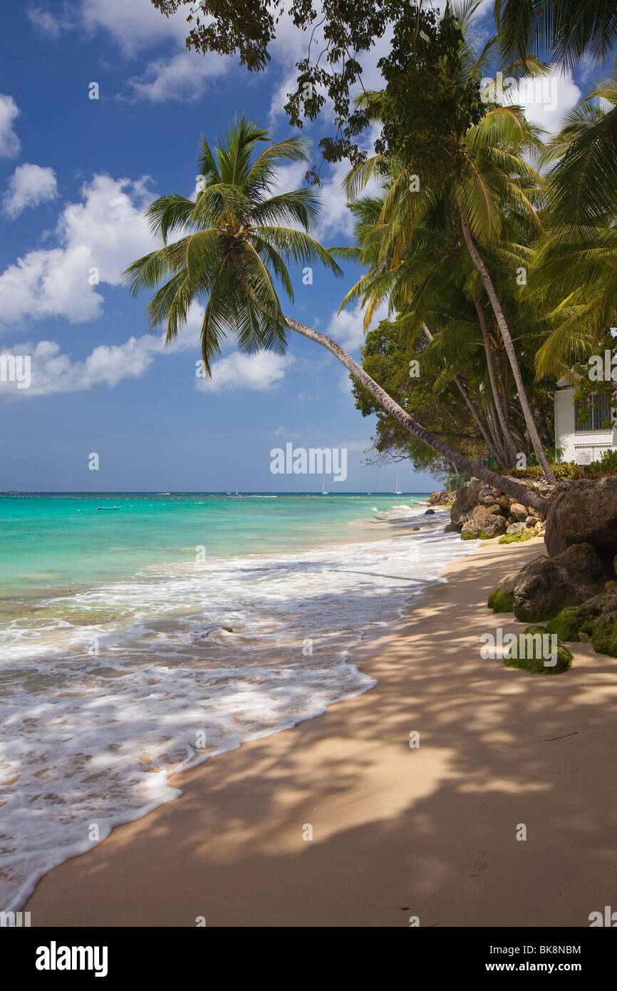 Platinum Coast, St James, West Coast, Barbados, Beach, Caribbean, West ...